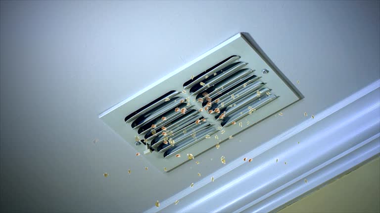 Emergency Air Duct Cleaning in MS